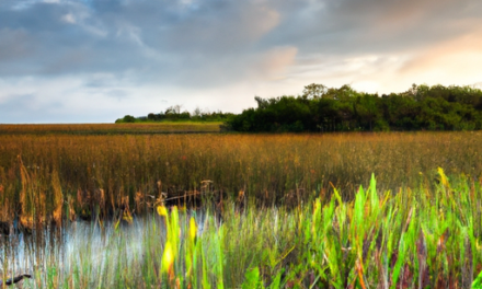How Far Is The Everglades National Park From Miami?