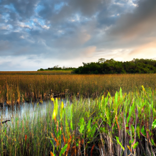 How Far Is The Everglades National Park From Miami?